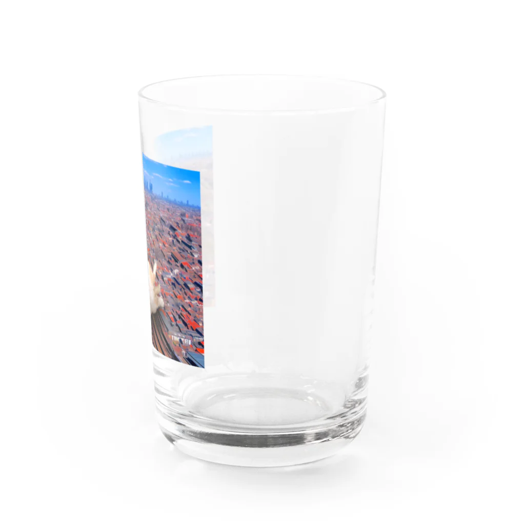 hashiba_のでっかいネコ Water Glass :right