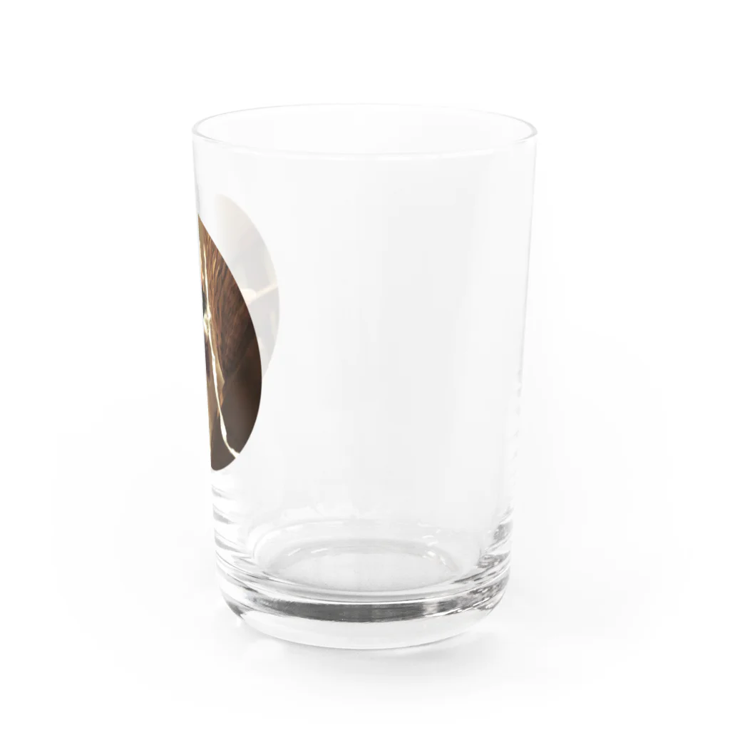 jenjenの強面のねこ　チビゴン　その1 Water Glass :right