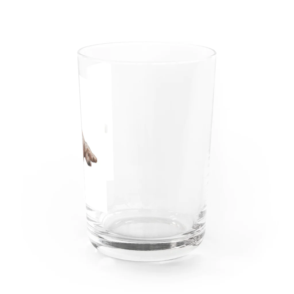 山のくまの犬が落ちてる Water Glass :right