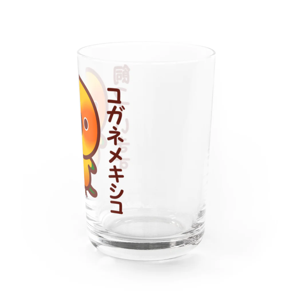 いんこ屋堂のコガネメキシコ飼っています Water Glass :right