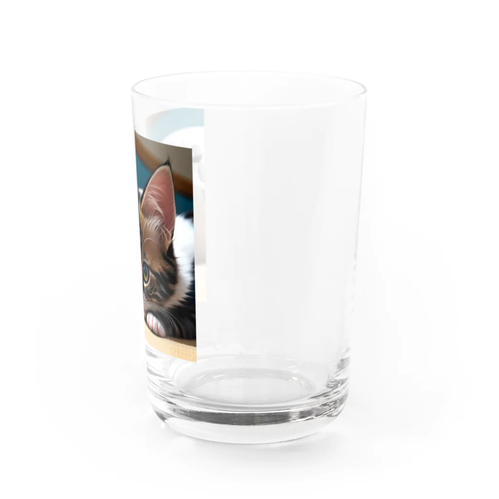 anagram12の見つめる子猫 Water Glass :right