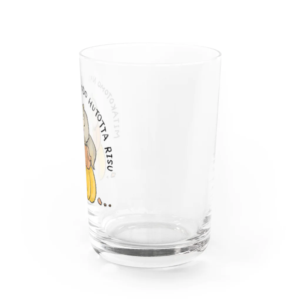 hashiba_の見たこともないほど太ったリス Water Glass :right