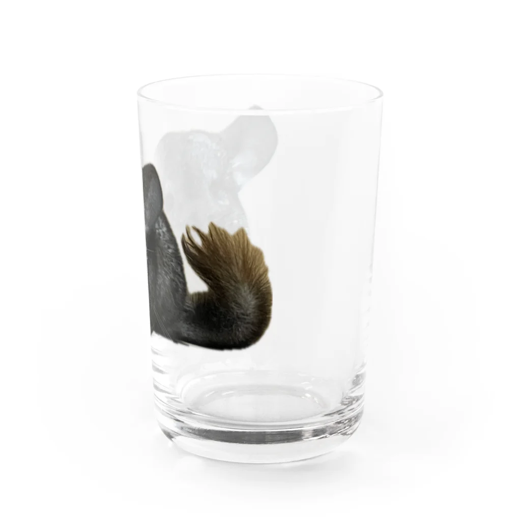 動物クラブのチンチラグッズ Water Glass :right