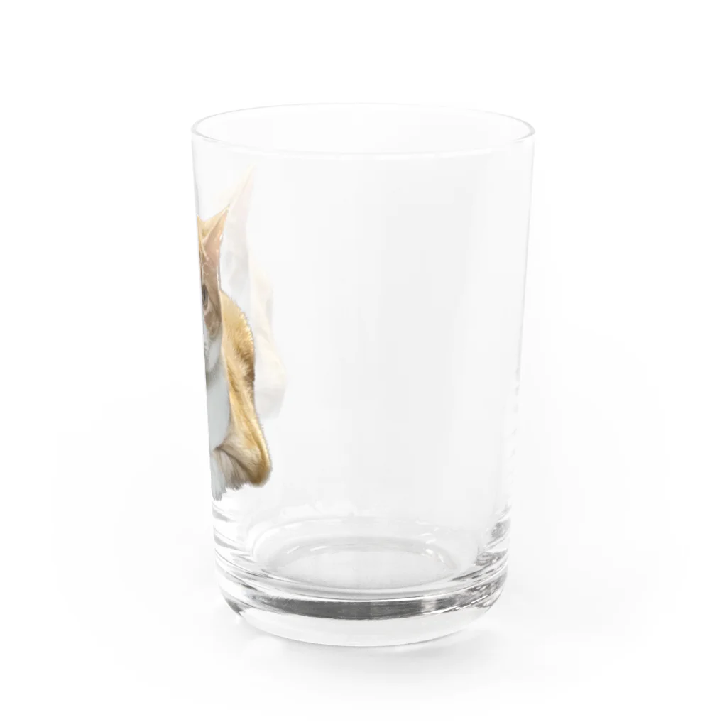 maronchiro55のメル Water Glass :right