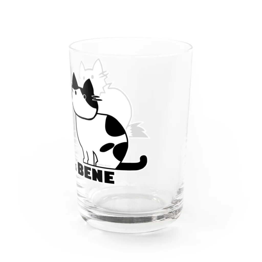 兄弟ねこのジーノとベーネの兄弟ねこのぽってりボディ Water Glass :right