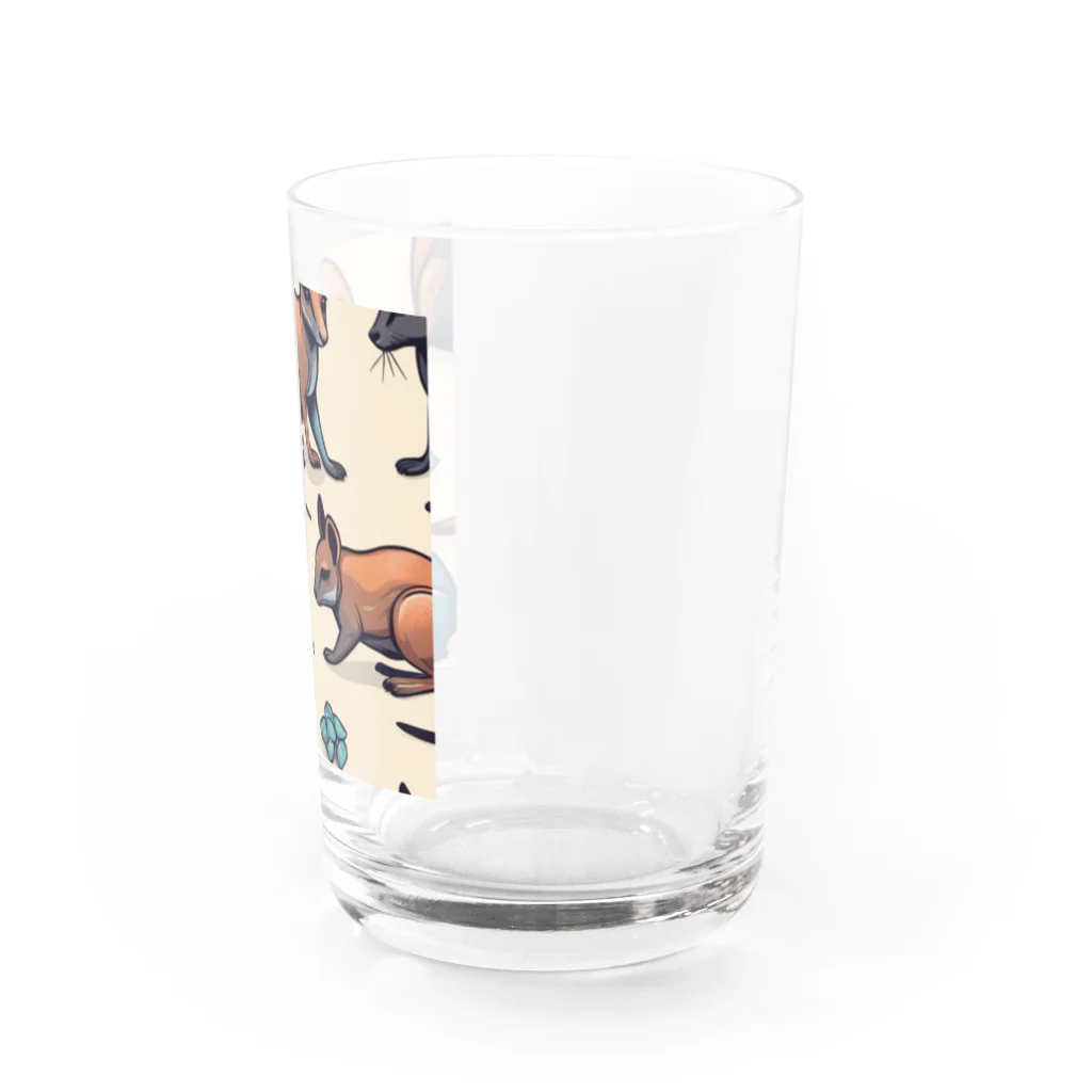 カズのオーストラリアの魅力 Water Glass :right