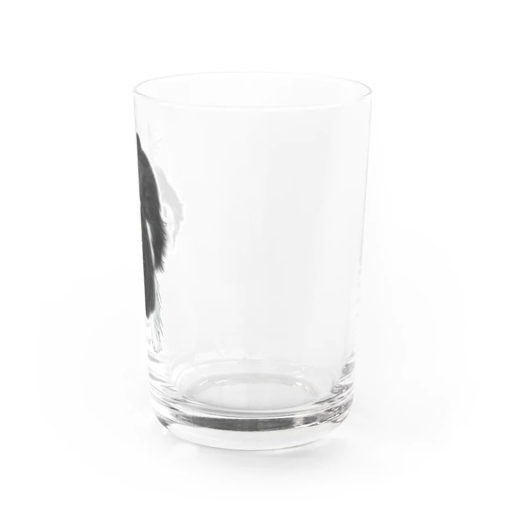 Shimiyasuのキャバリア№01 トライカラー Water Glass :right