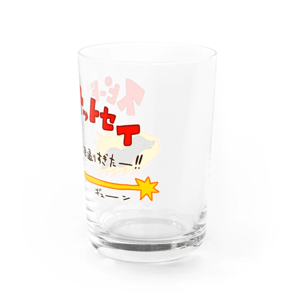 Siderunの館 B2のスピードオットセイ Water Glass :right