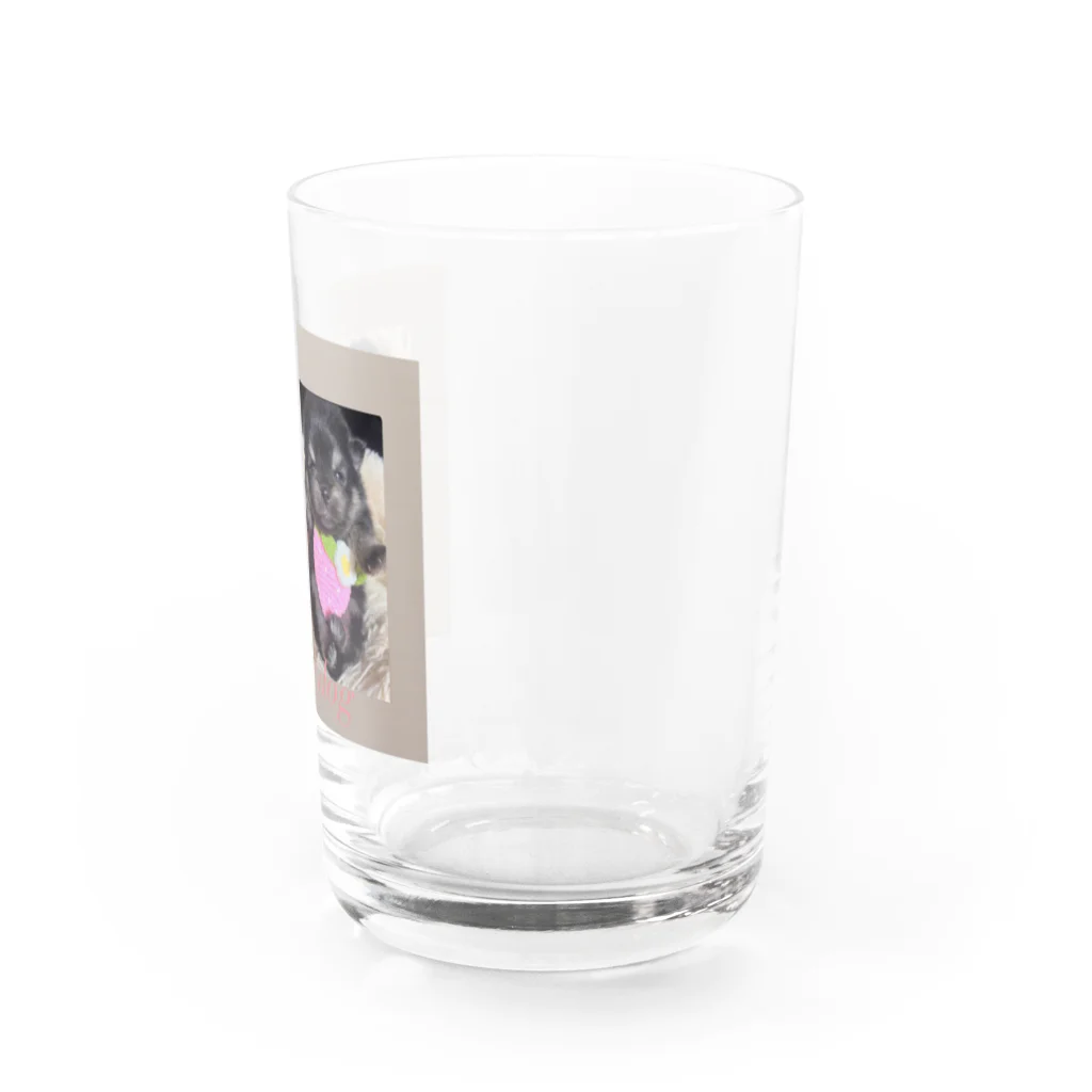 キャンドルドックの可愛いブラックタン兄弟 Water Glass :right