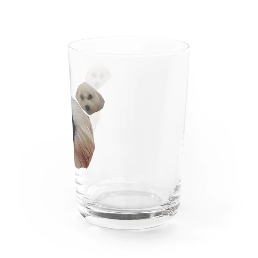 FUJIMARU's × NECODOMOのふじまる Water Glass :right