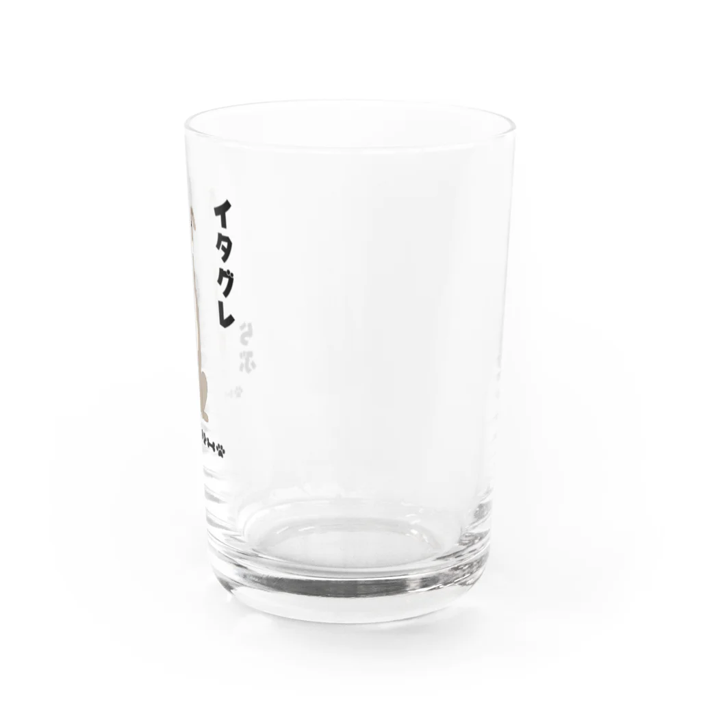 わんだーぱうだーのイタグレらぶ Water Glass :right