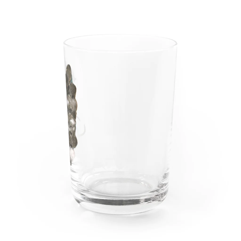 アニマルTAILのデグー兄弟 Water Glass :right