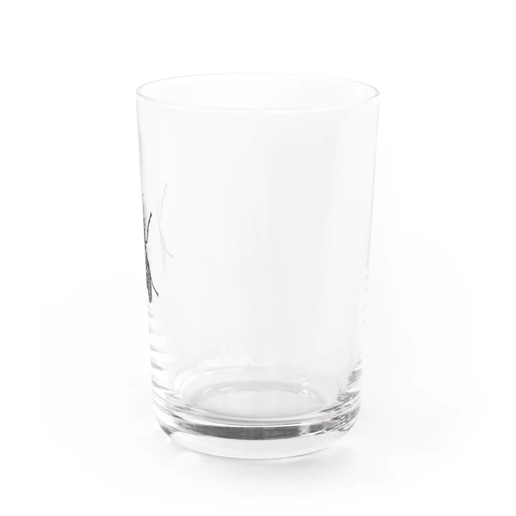 to be your keyのRudie Fly Water Glass :right