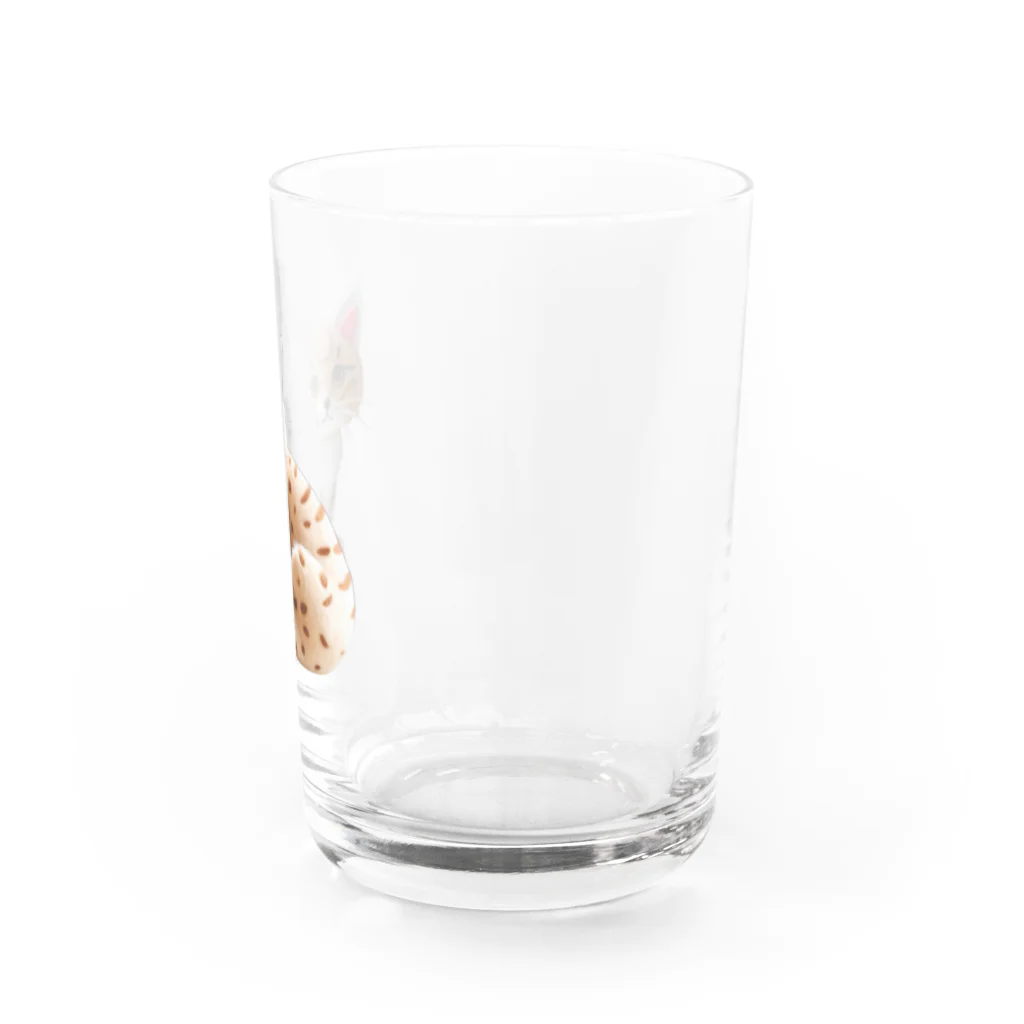 ヤマネコのフェルトで作ったスナネコ Water Glass :right