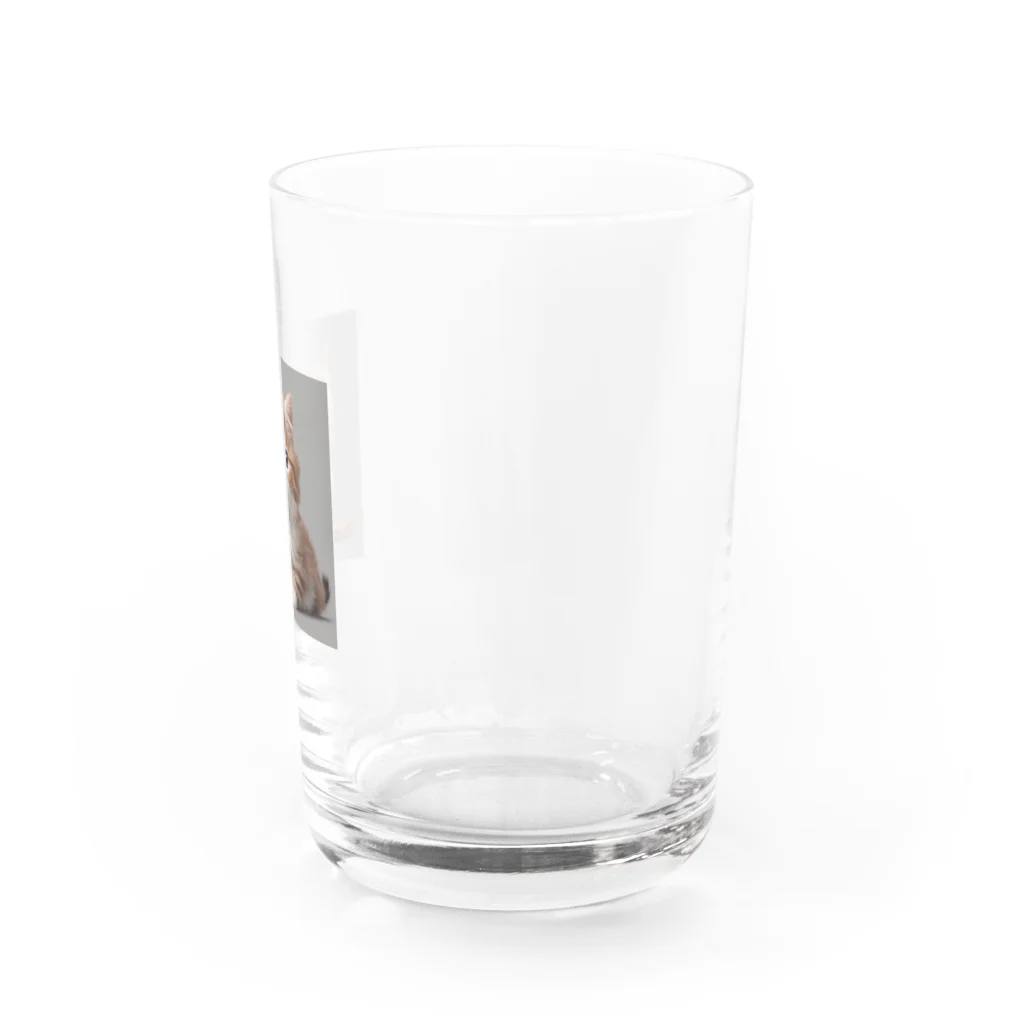 パイルドライバーのニャー Water Glass :right