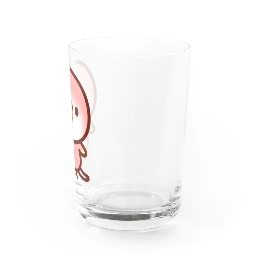 いんこ屋堂のアキクサインコ（ルビノー） Water Glass :right