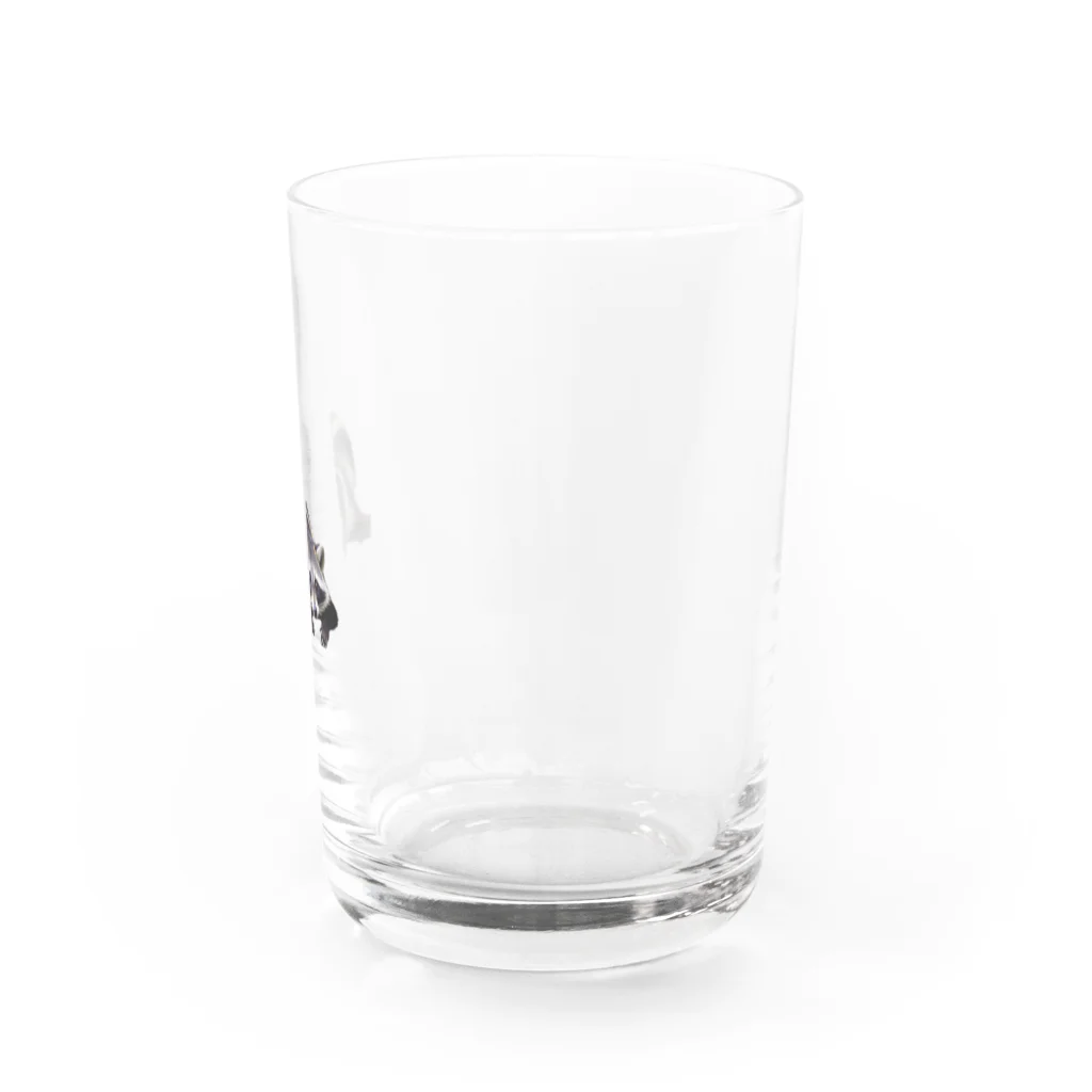 AI イラスト工房の平伏あらいぐま Water Glass :right