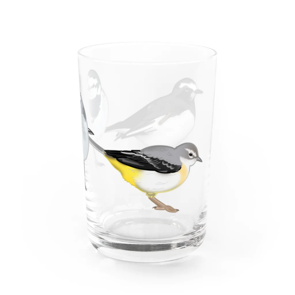 やちよ｜リアル鳥イラストの鶺鴒さん Water Glass :right