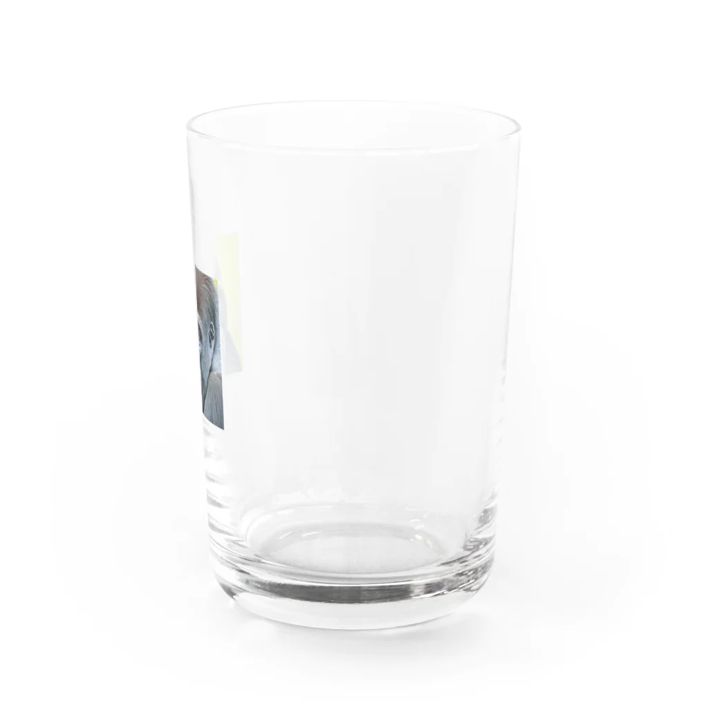 gabliel.の微笑むゴリラ Water Glass :right