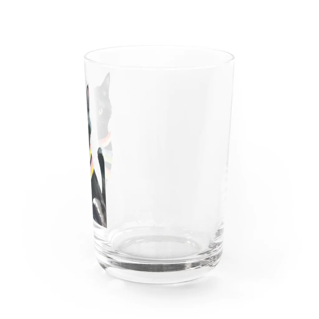 幸運のしっぽの黒猫と虹の首輪 Water Glass :right