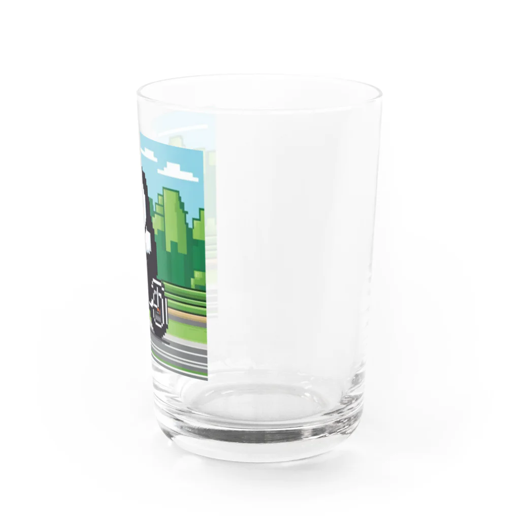 Tomochan商店のパンダがロードレーサーに Water Glass :right