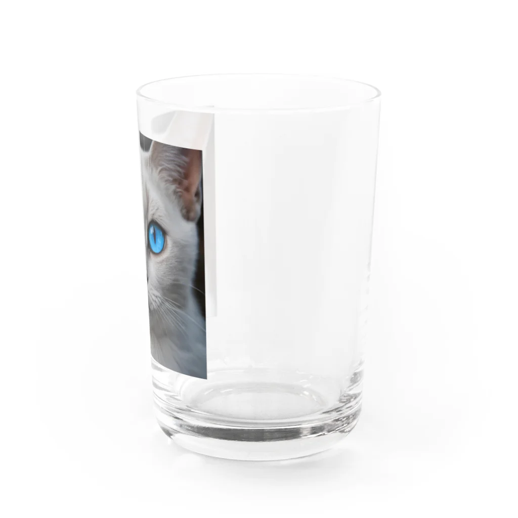 ソラトラの青目の猫 Water Glass :right
