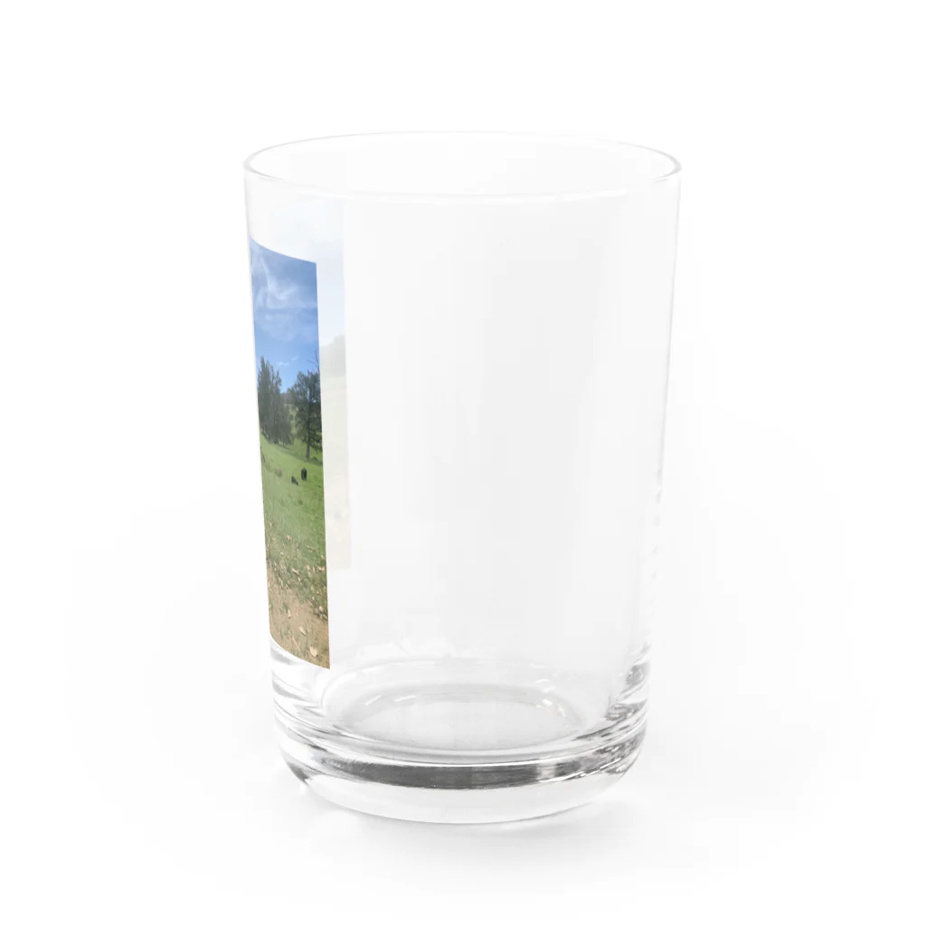 YASUE ABE JPのFarm Water Glass :right