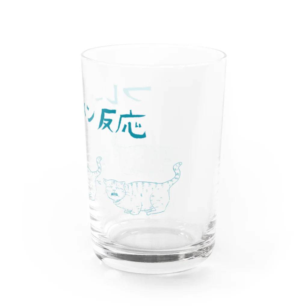 イエネコのフレーメン反応 Water Glass :right