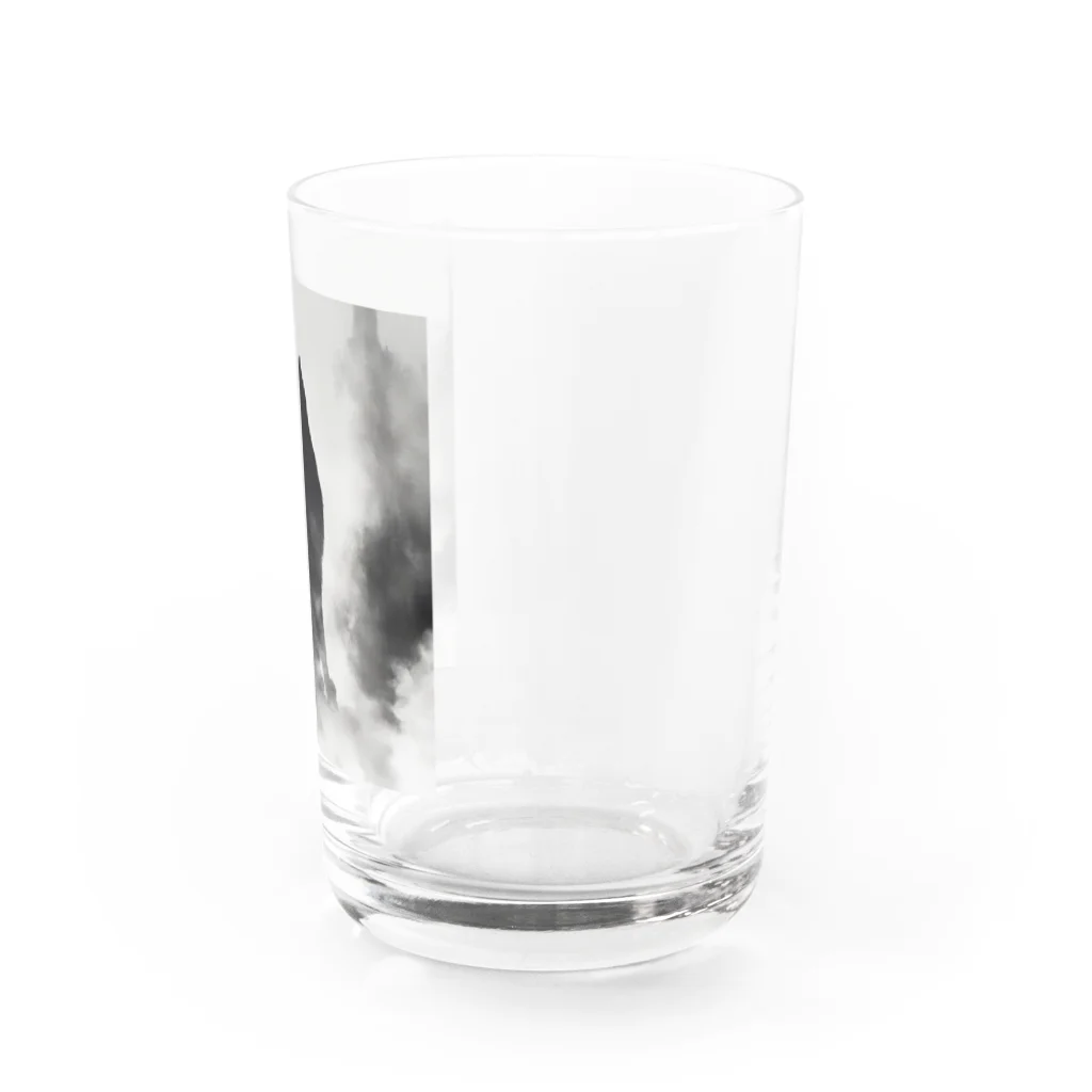 mamachanxxxの謎めいたモノクロねこ Water Glass :right