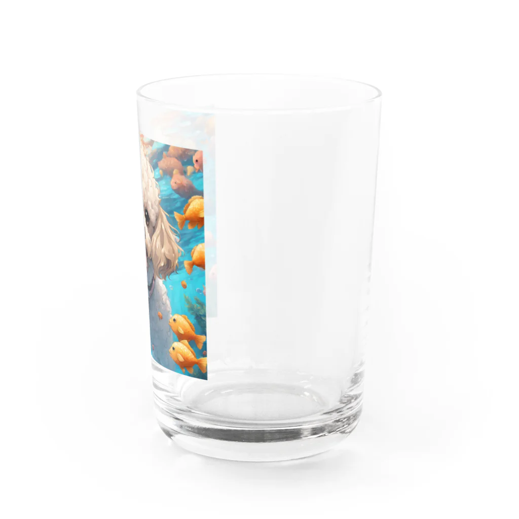 ワンちゃん大好きの熱帯魚と遊ぶトイプードル Water Glass :right