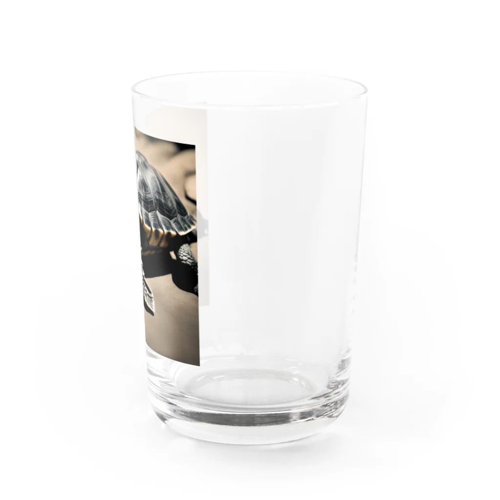 hinn-ketuの１、明日に向かって進むカメ Water Glass :right