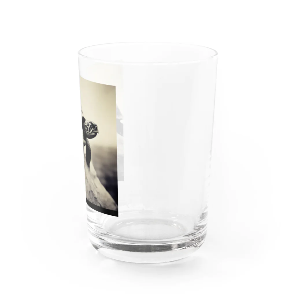 hinn-ketuの３、風に立つカメ Water Glass :right