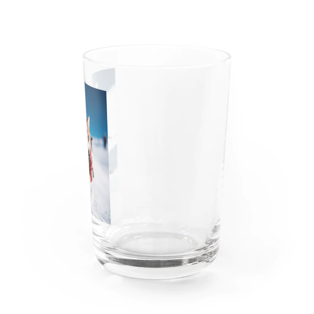 GoldCatの雪猫 Water Glass :right