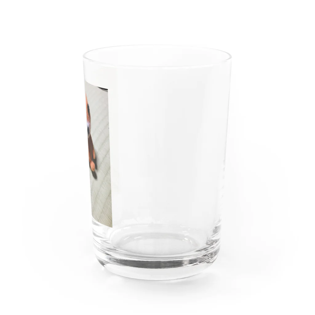 ポメラニアンのアリスくんの謎の生き物 Water Glass :right