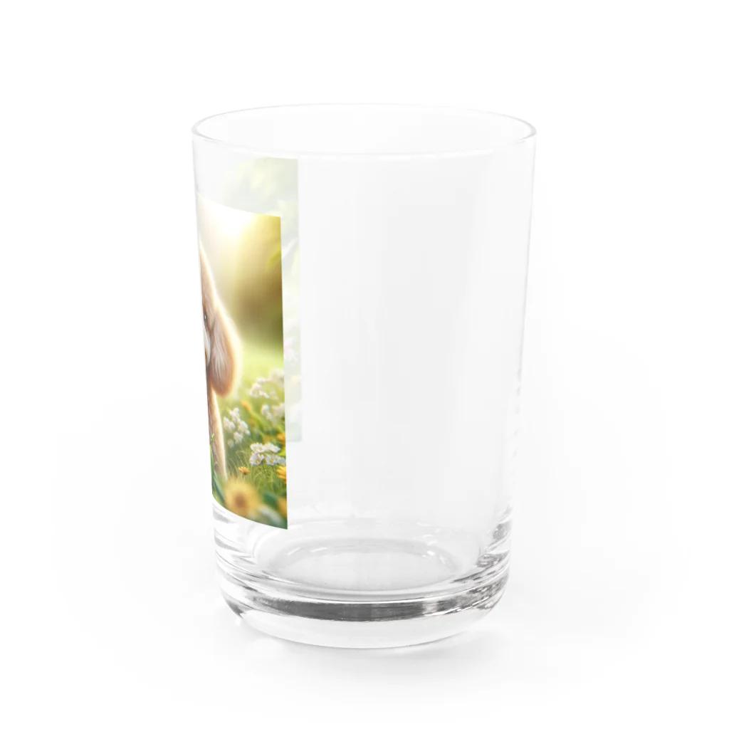 ストア・ザ・ダッチのトイプードルグッズ Water Glass :right