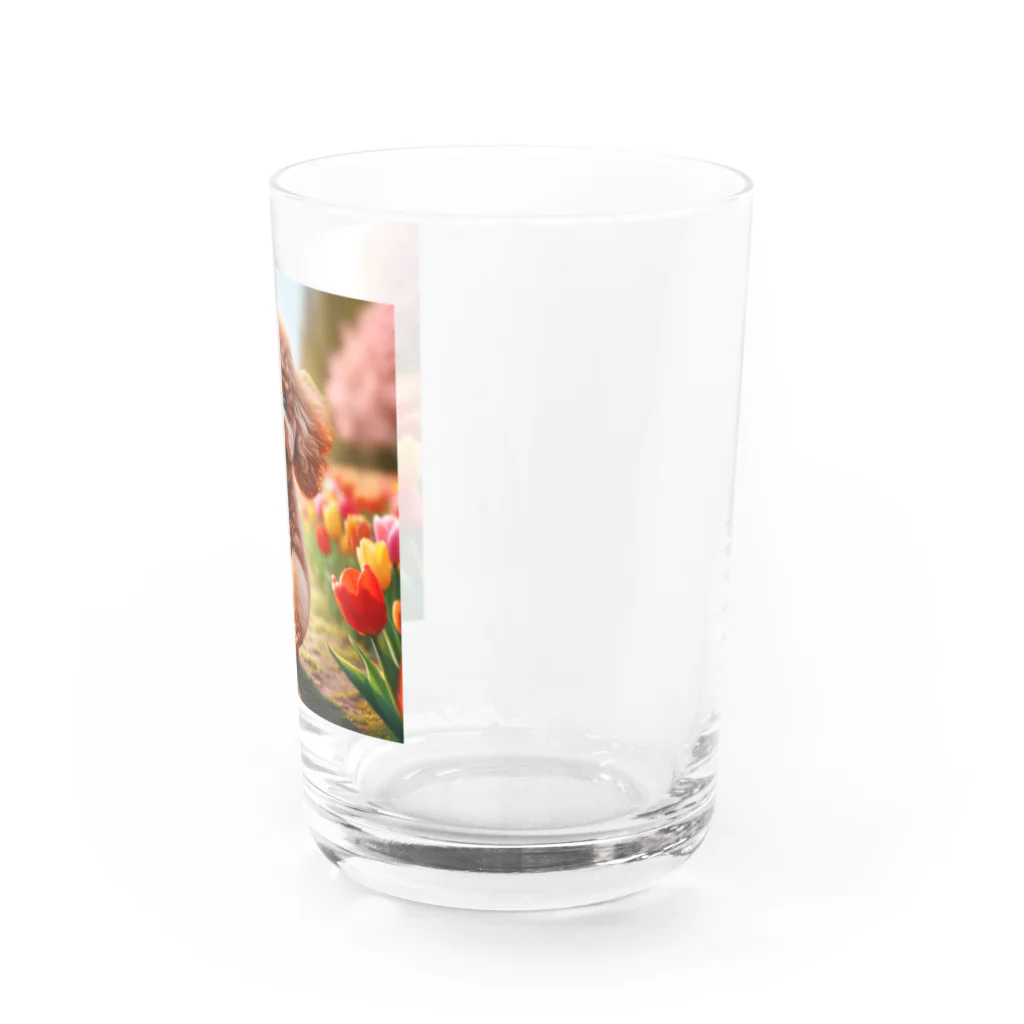 ストア・ザ・ダッチのトイプードルグッズ Water Glass :right