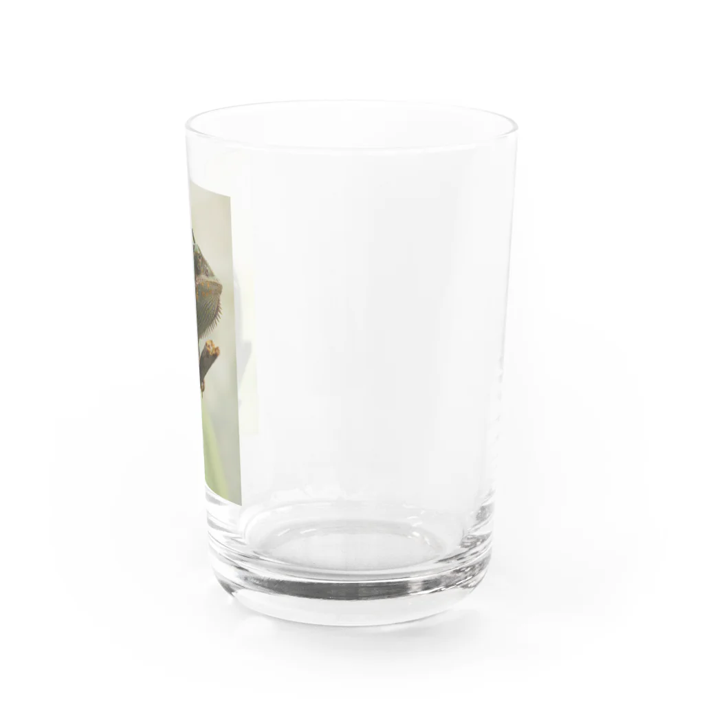 可愛い動物のカメレオン Water Glass :right