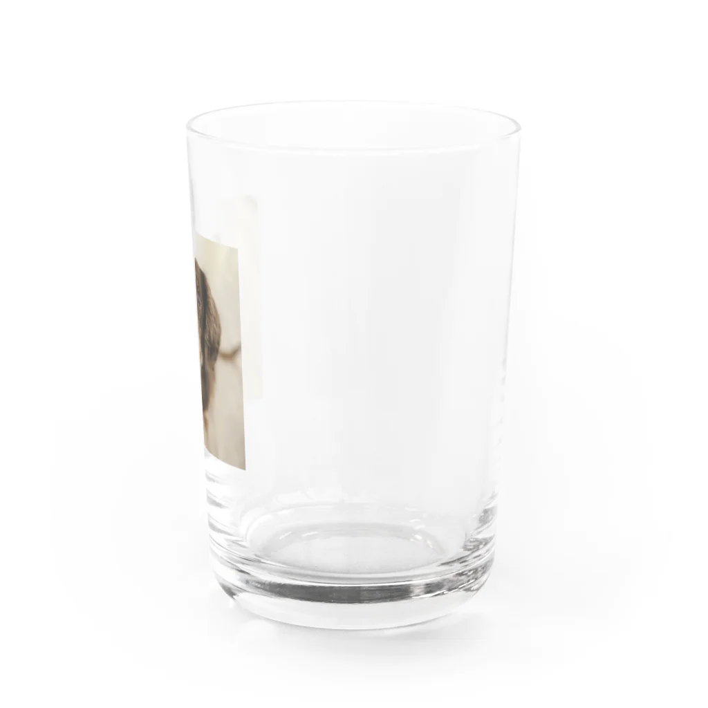 マリアの愛犬マリア Water Glass :right