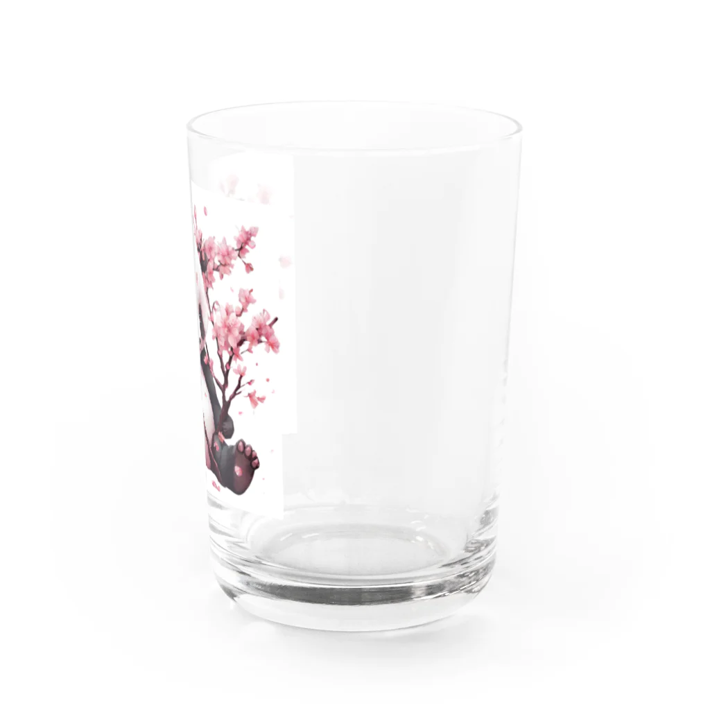 waterpandaのパンダと桜 Water Glass :right