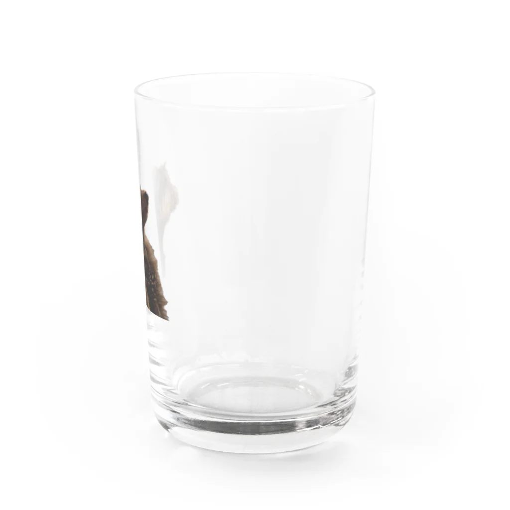 マリアの散歩嫌い マリアちゃん Water Glass :right