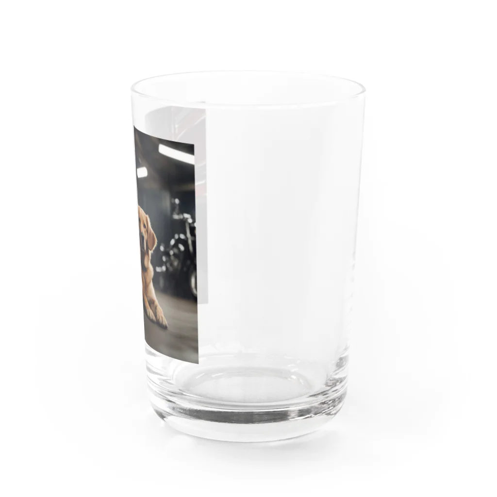 NiTiのガレージにいる犬 Water Glass :right