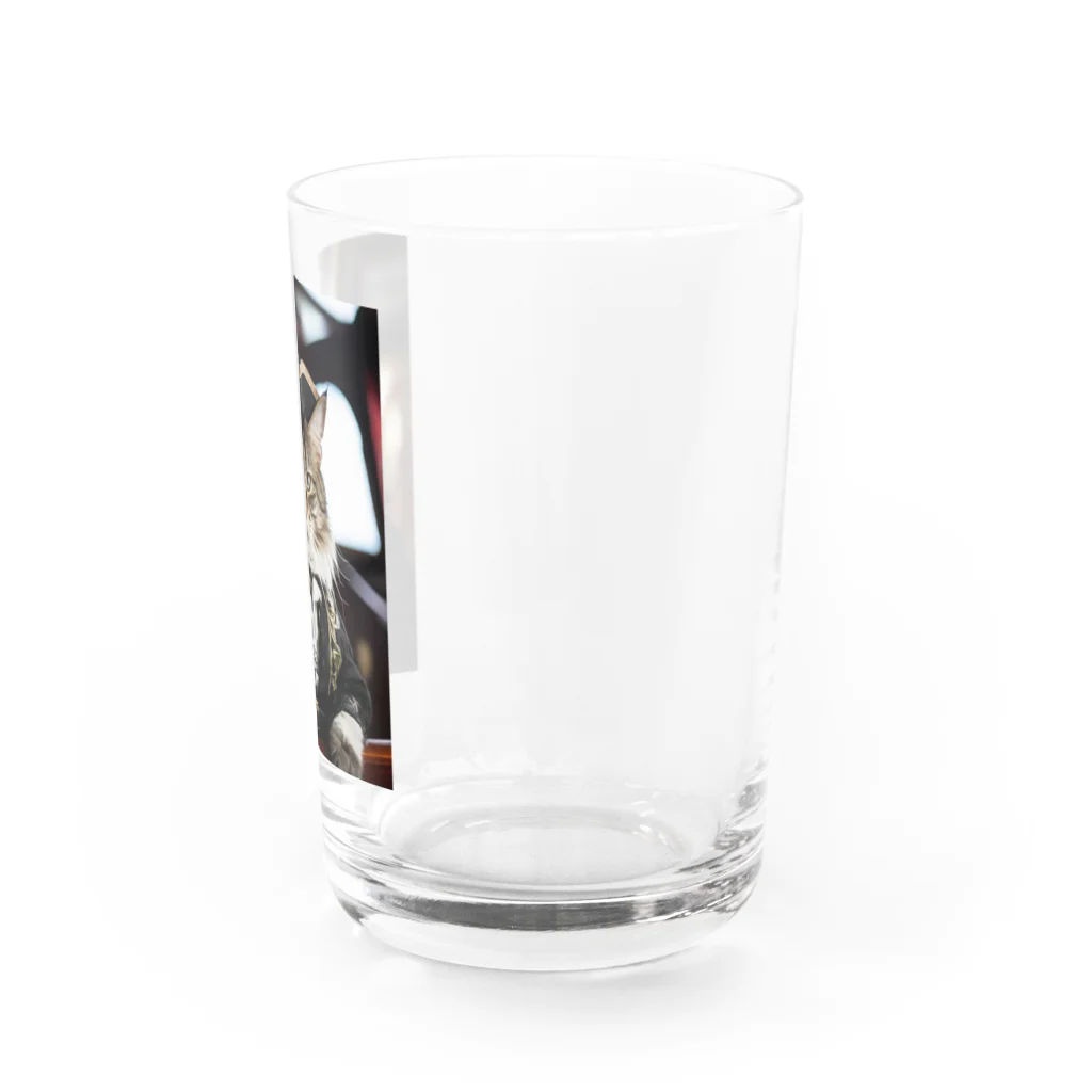 ZZRR12の海賊の支配者猫：海の覇者 Water Glass :right