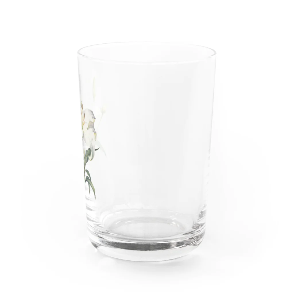 Q_kyuのアンティークリリー Water Glass :right