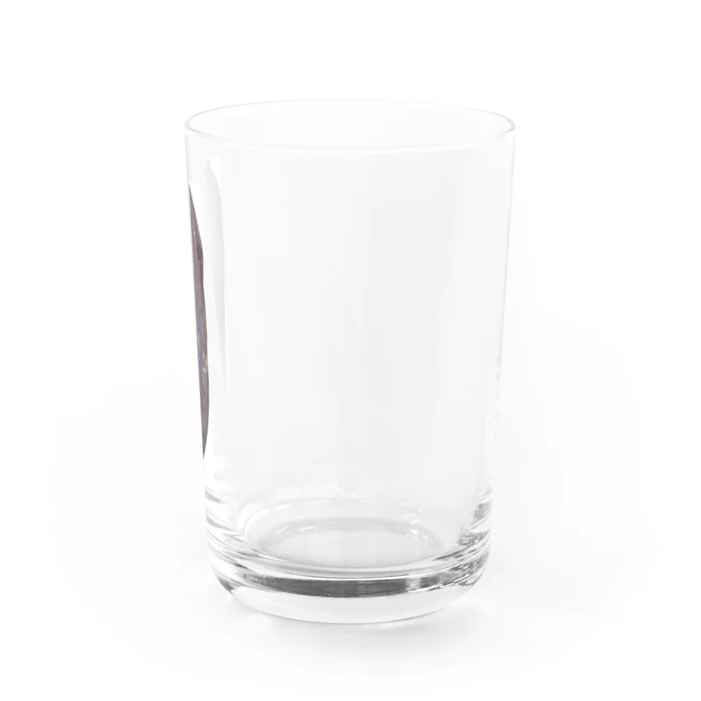 ぺろのやきいも〜ん Water Glass :right