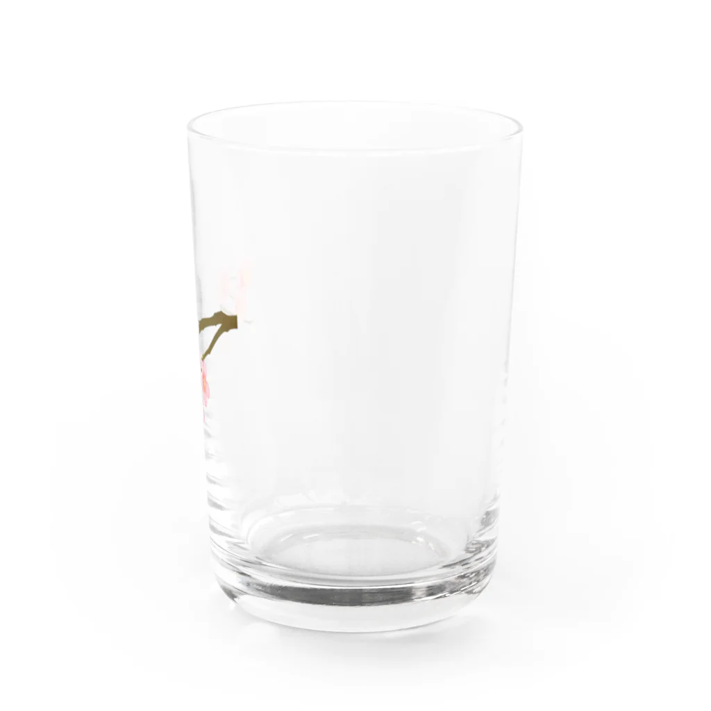 紅藤コミミズクの桜 Water Glass :right