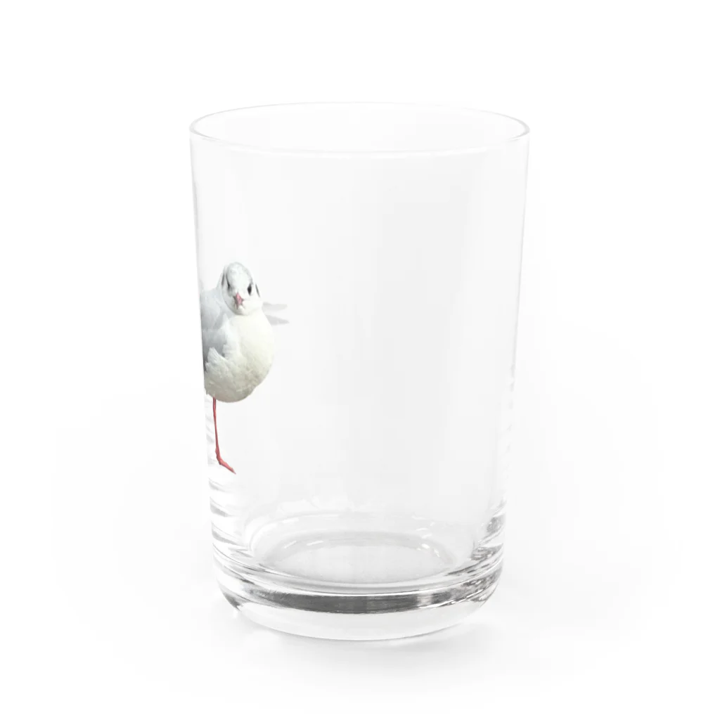 山の門のかもめ　正面 Water Glass :right