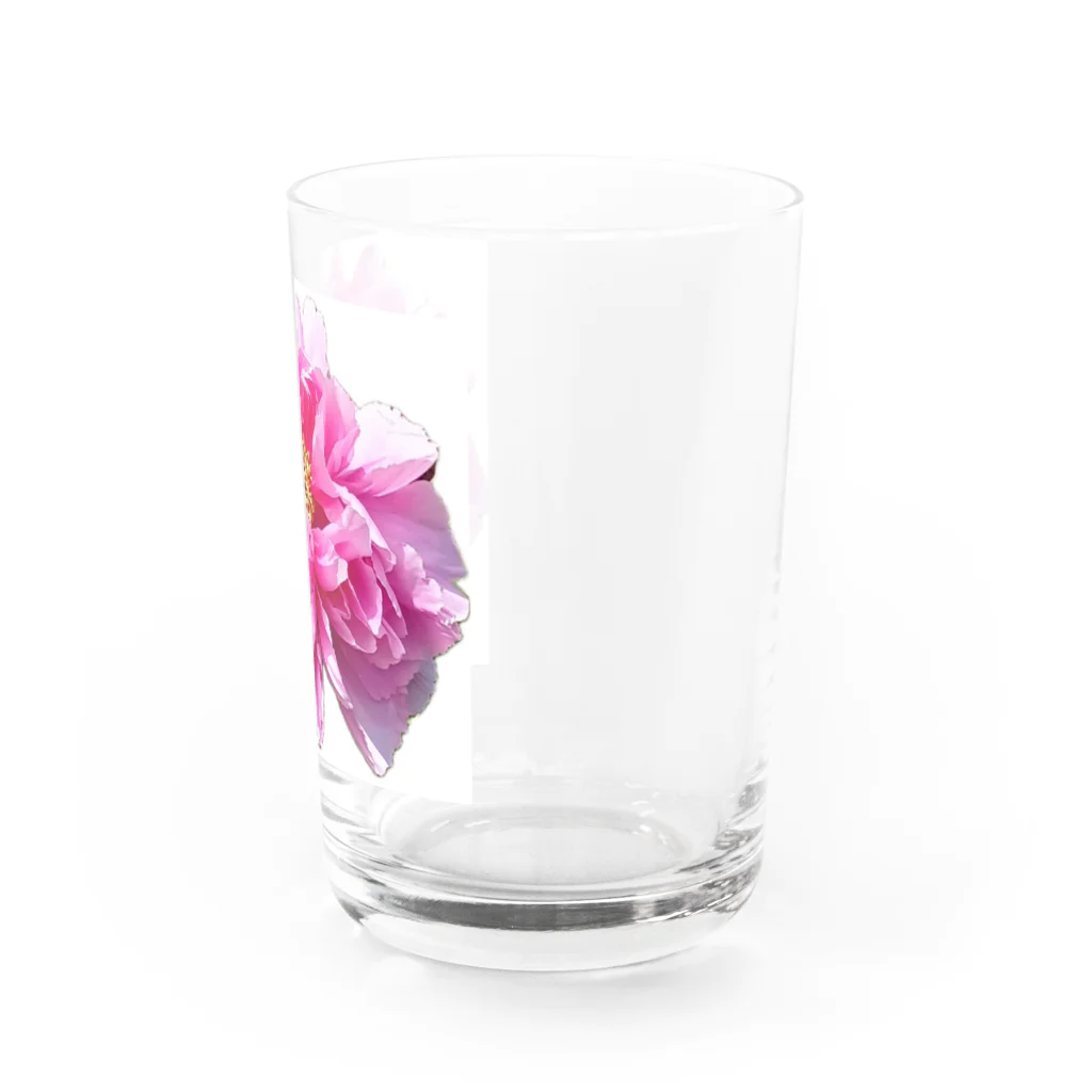 私の世界のseiso Water Glass :right