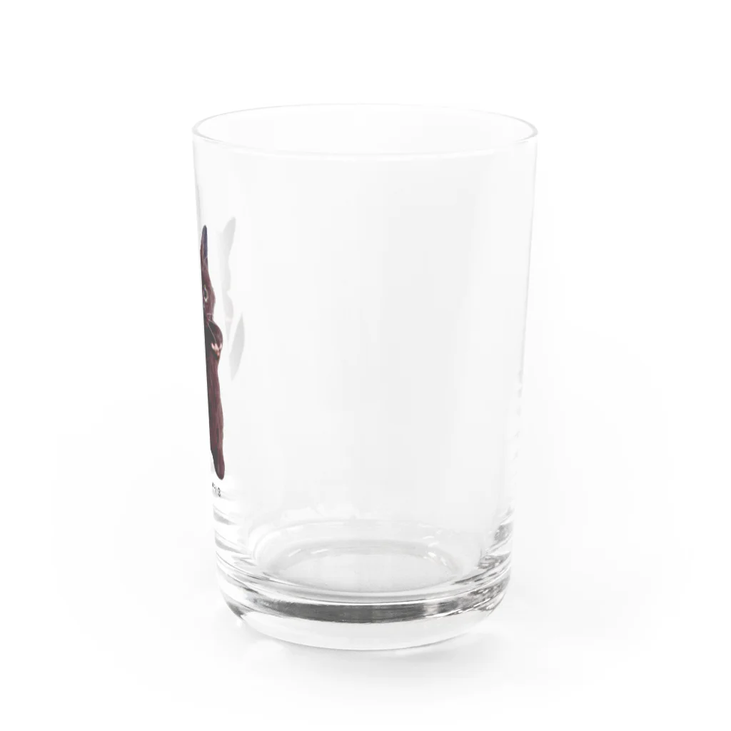 ʚ fuwari ɞのパピ猫立っち/黒猫 Water Glass :right