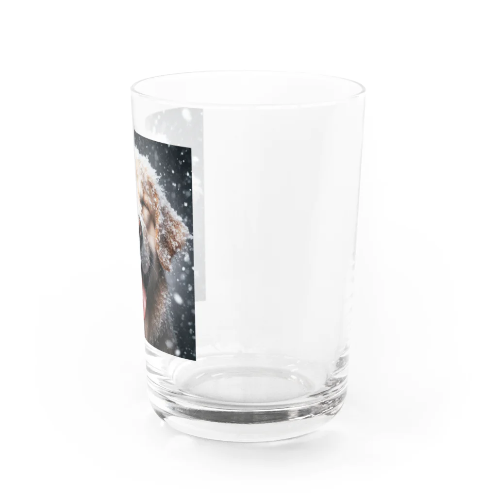 M_Takashiの「ゴールデンな冬のひととき、雪と共に大笑い！」 Water Glass :right