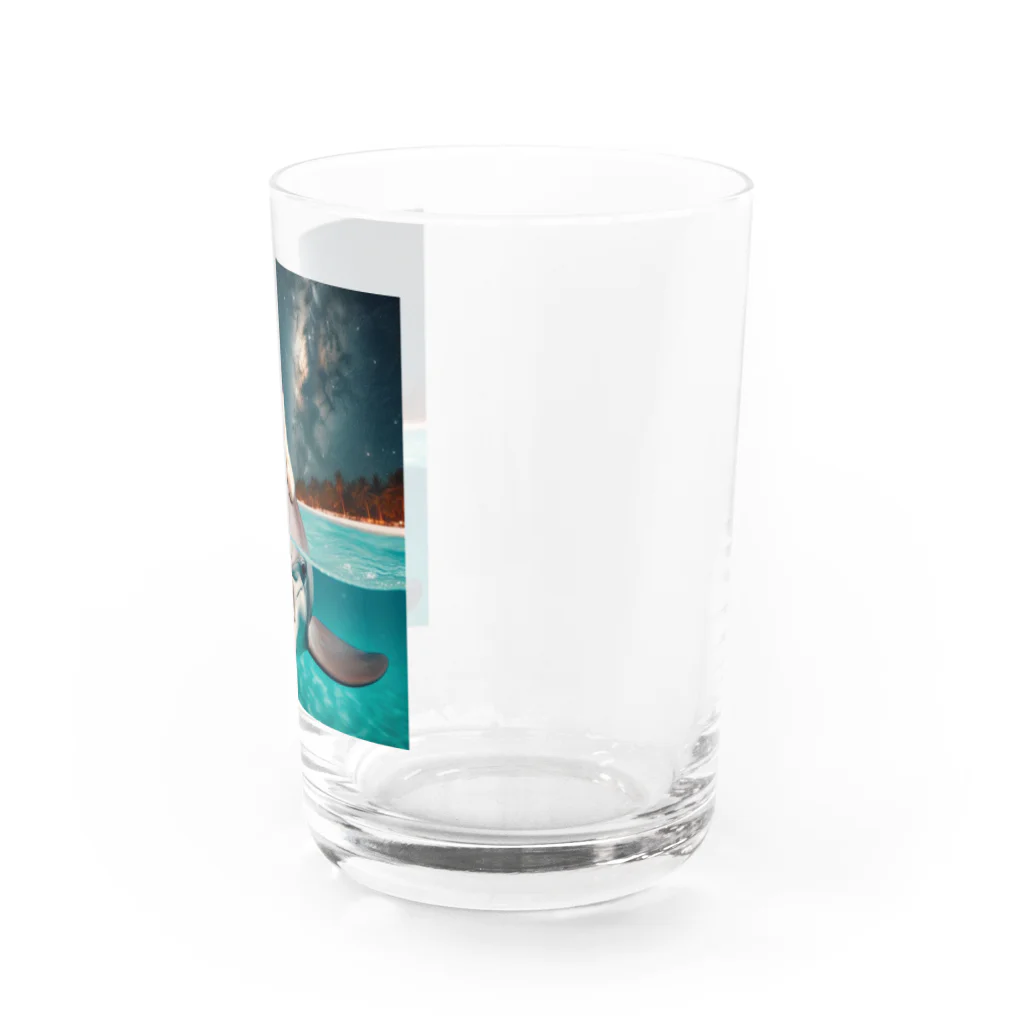 猫と紡ぐ物語のイルカと猫が海を共に泳ぐ異種間の絆が存在 Water Glass :right